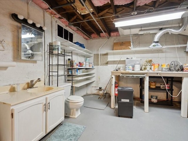 1813 3rd Ave SE, Cedar Rapids, IA 52403 - unfinished below grade area featuring a sink and a workshop area