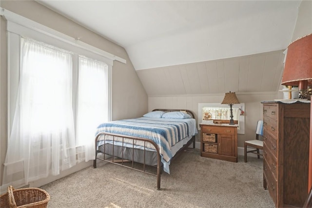 407 7th Ave SW, Cedar Rapids, IA 52404 - bedroom with lofted ceiling and light colored carpet