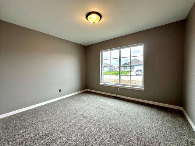 910 Juneberry Dr, Palo, IA 52324 - photo 25
