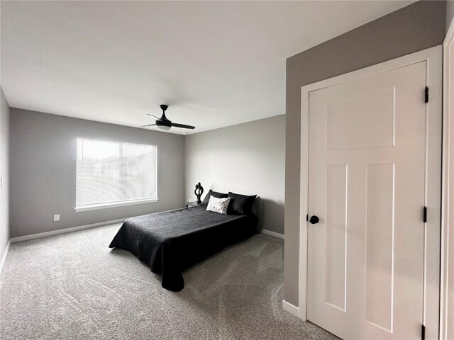 910 Juneberry Dr, Palo, IA 52324 - photo 20