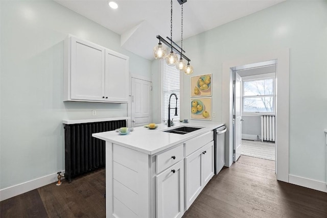 320 E St, Tipton, IA 52772 - kitchen featuring a sink, light countertops, stainless steel dishwasher, dark wood-type flooring, and white cabinetry