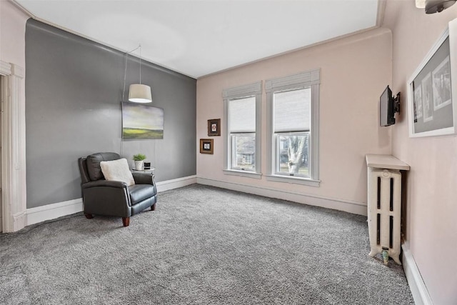320 E St, Tipton, IA 52772 - sitting room with carpet floors, baseboards, and radiator heating unit