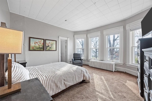 320 E St, Tipton, IA 52772 - carpeted bedroom with radiator heating unit and multiple windows