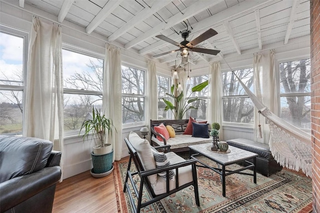 320 E St, Tipton, IA 52772 - sunroom / solarium with wood finished floors, plenty of natural light, and a water view