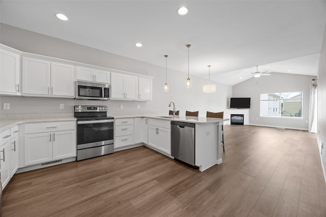 1333 Truman Ct NE Unit B, Cedar Rapids, IA 52402 - kitchen featuring appliances with stainless steel finishes, a sink, vaulted ceiling, open floor plan, and a peninsula