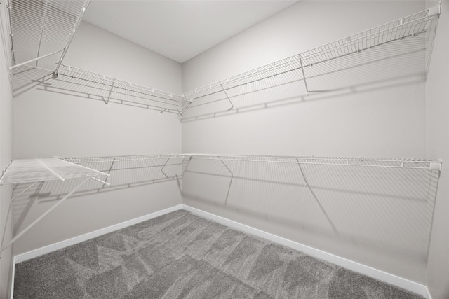 1333 Truman Ct NE Unit B, Cedar Rapids, IA 52402 - walk in closet with carpet flooring