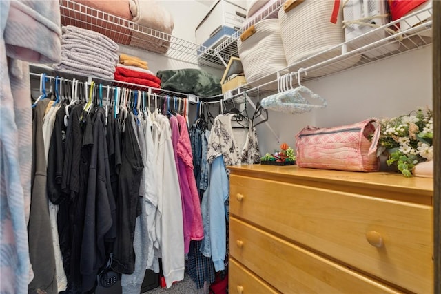 1015 Woodland Heights Ct SE Unit 14, Cedar Rapids, IA 52403 - walk in closet featuring carpet floors