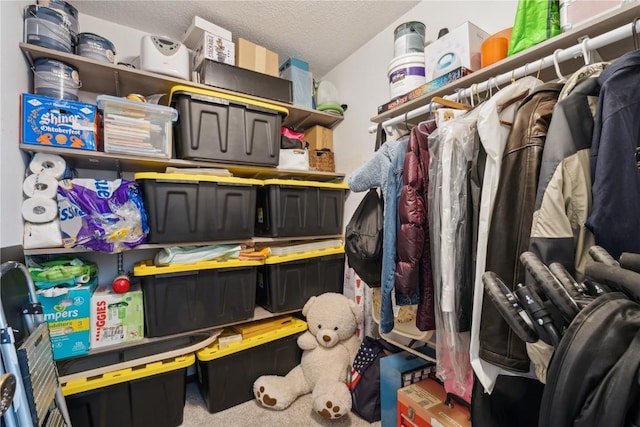 1015 Woodland Heights Ct SE Unit 14, Cedar Rapids, IA 52403 - view of storage room