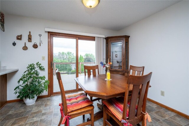 109 Oreole NE, Solon, IA 52333 - dining room with baseboards, stone finish flooring, and a textured ceiling