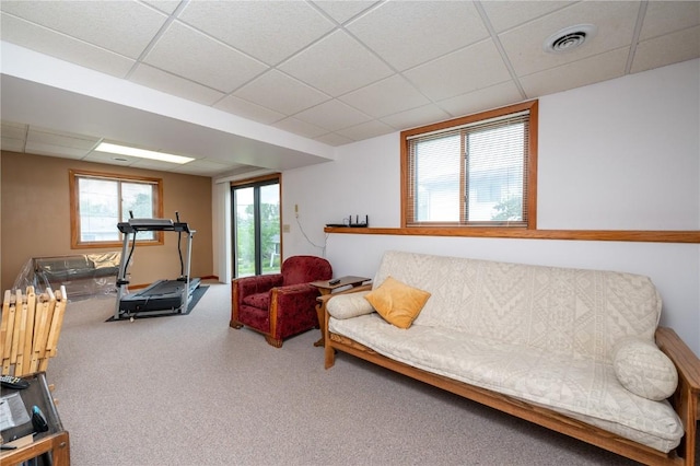 109 Oreole NE, Solon, IA 52333 - exercise room featuring a drop ceiling and carpet