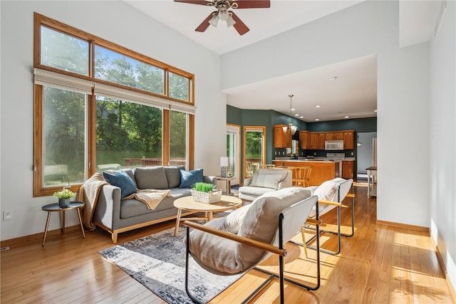 925 Rolling Creek Dr NE, Cedar Rapids, IA 52402 - living area with plenty of natural light, light wood-style flooring, and a ceiling fan