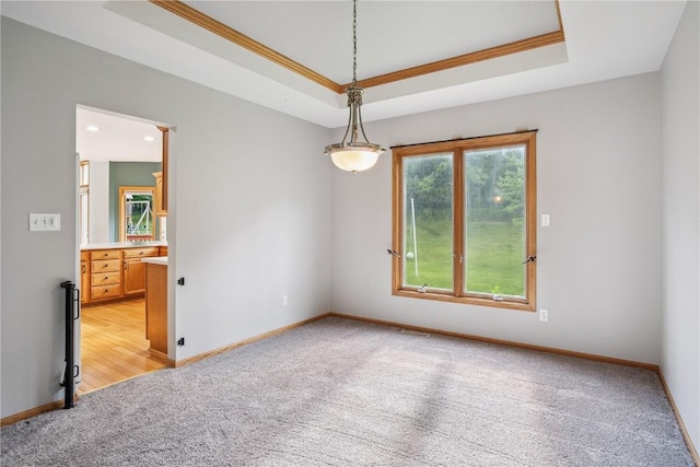 925 Rolling Creek Dr NE, Cedar Rapids, IA 52402 - unfurnished room featuring light carpet, a raised ceiling, and ornamental molding