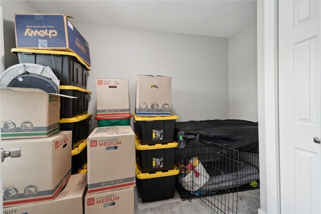 944 L St SW, Cedar Rapids, IA 52404 - view of storage room