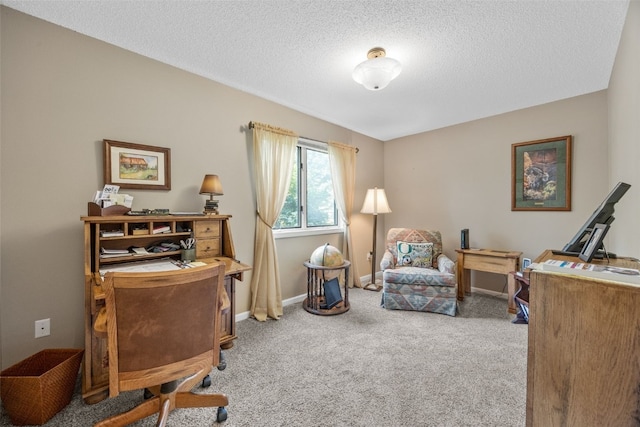 13 S View Dr NE, Iowa City, IA 52240 - office with carpet flooring, a textured ceiling, and baseboards