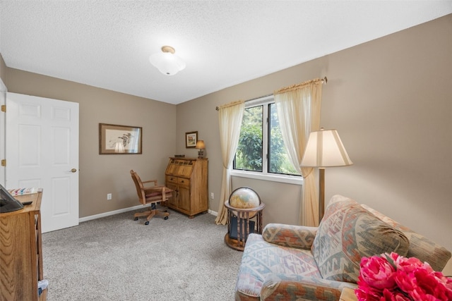 13 S View Dr NE, Iowa City, IA 52240 - sitting room with carpet, baseboards, and a textured ceiling