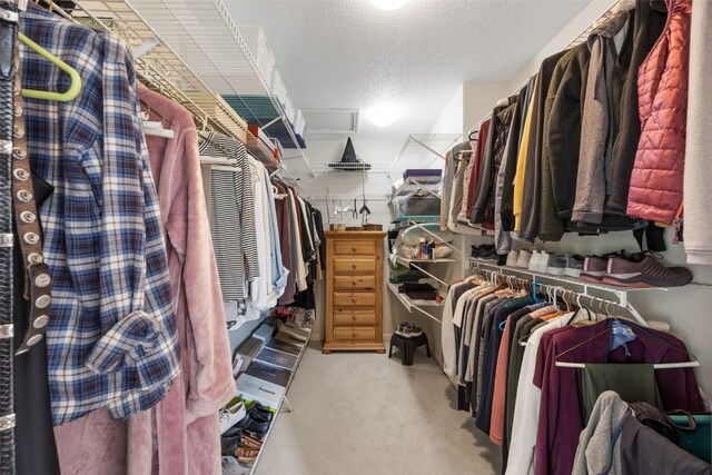 13 S View Dr NE, Iowa City, IA 52240 - spacious closet featuring light carpet