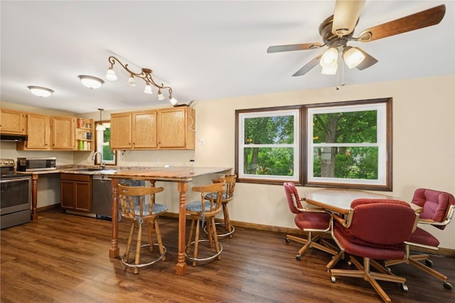 1805 4th Ave, South Amana, IA 52334 - kitchen with appliances with stainless steel finishes, a sink, dark wood-style floors, under cabinet range hood, and light brown cabinetry