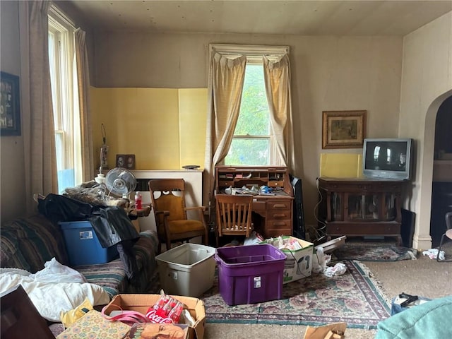 321 E 2nd St, Washington, IA 52353 - living area with arched walkways and carpet flooring