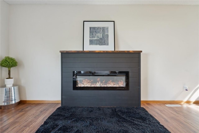 2710 Pheasant Ridge Ct, Marion, IA 52302 - detailed view of a fireplace with flush hearth, wood finished floors, and baseboards