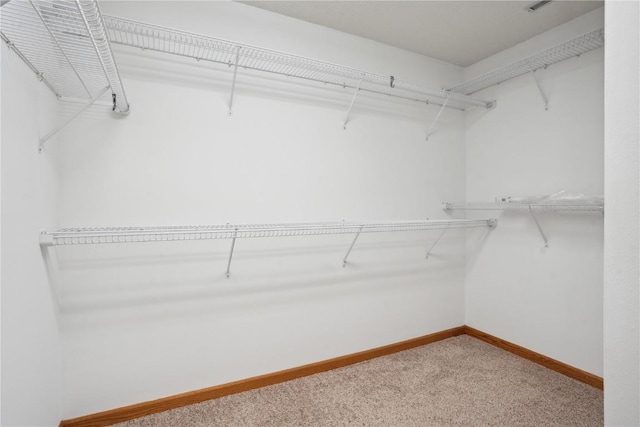 7604 Princeton Dr NE, Cedar Rapids, IA 52402 - photo 30