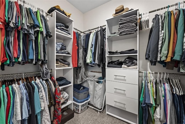 2890 Meadow Ct, Hiawatha, IA 52233 - walk in closet featuring carpet flooring