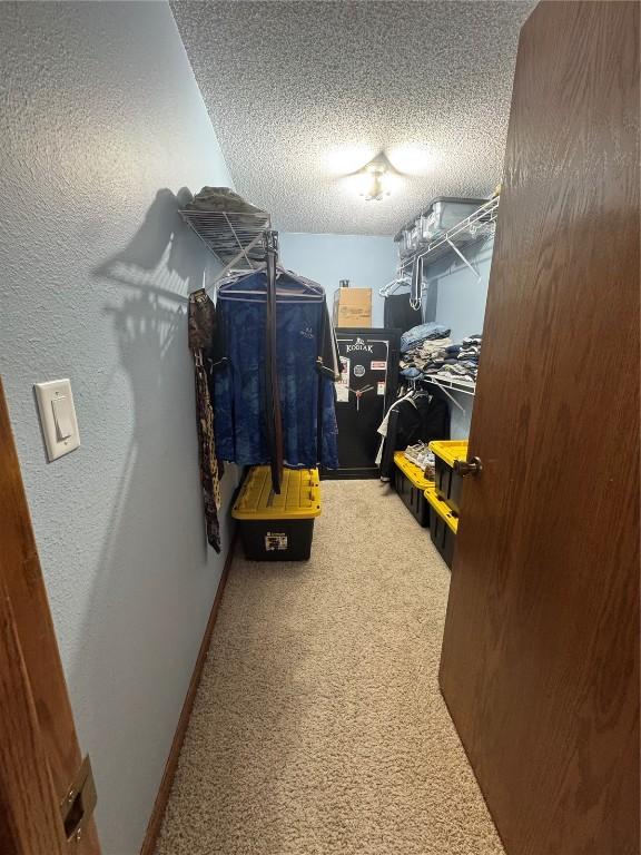 4610 Westchester Dr NE Unit A, Cedar Rapids, IA 52402 - walk in closet featuring carpet flooring