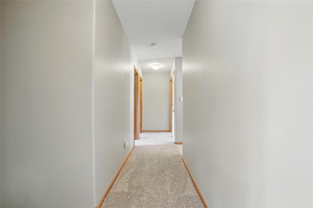 7025 Walden Rd NE, Cedar Rapids, IA 52402 - hall with light colored carpet and baseboards