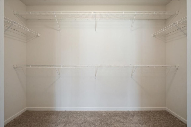 3092 Sherwood Dr, Marion, IA 52302 - spacious closet with carpet flooring