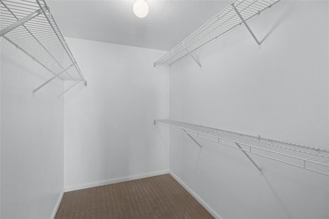 4555 Westchester Dr NE Unit A, Cedar Rapids, IA 52402 - walk in closet featuring carpet flooring