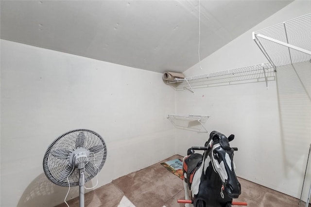 4111 Blue Jay Dr NE Unit A, Cedar Rapids, IA 52402 - spacious closet with vaulted ceiling