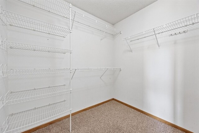 2273 Holiday Rd, Coralville, IA 52241 - spacious closet featuring carpet flooring