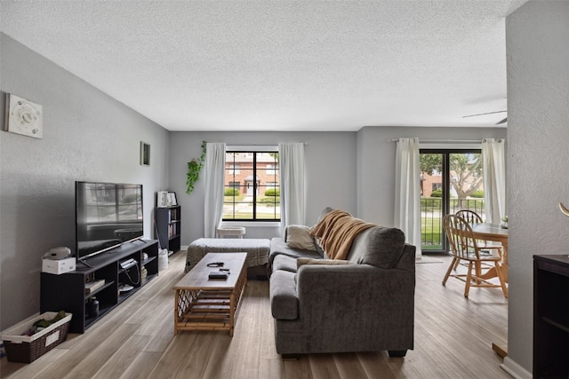 849 Kerry Ln SE Unit 49, Cedar Rapids, IA 52403 - living area with healthy amount of natural light, a textured ceiling, a textured wall, and wood finished floors