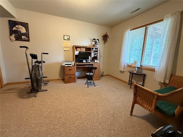 1037 Doubletree Ct NE, Cedar Rapids, IA 52402 - office space with light carpet, baseboards, and a textured ceiling