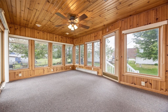502 5th Ave, Clarence, IA 52216 - unfurnished sunroom featuring healthy amount of natural light, baseboard heating, carpet, wooden ceiling, and wood walls