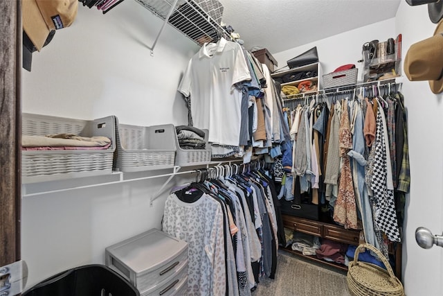 2106 Shady Grove Rd SW, Cedar Rapids, IA 52404 - walk in closet with carpet floors