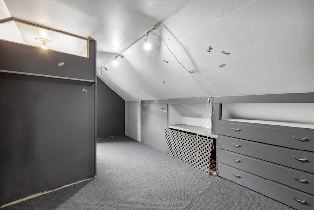 331 36th St NE, Cedar Rapids, IA 52402 - bonus room featuring carpet and lofted ceiling