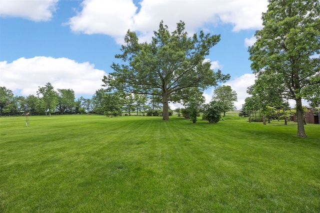4519 Indian Creek Rd, Marion, IA 52302 - view of grassy yard