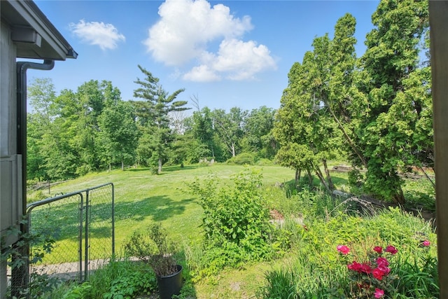 1649 Memorial Dr SE, Cedar Rapids, IA 52403 - view of green lawn