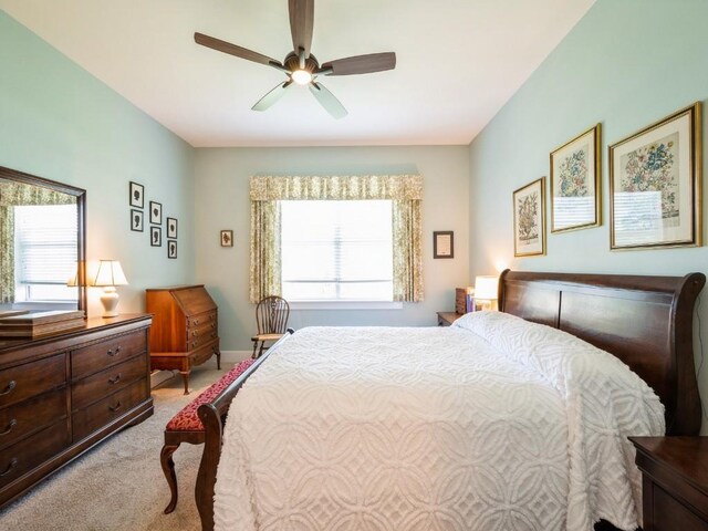 2940 Brookvalley Ct, Marion, IA 52302 - bedroom featuring light carpet, multiple windows, a ceiling fan, and baseboards
