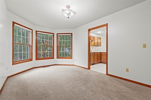 207 Cayman St, Iowa City, IA 52245 - photo 8