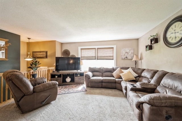 303 6th Ave, Newhall, IA 52315 - living area featuring carpet flooring and a textured ceiling