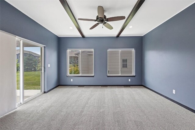 2100 Hillside Dr, Ely, IA 52227 - photo 10