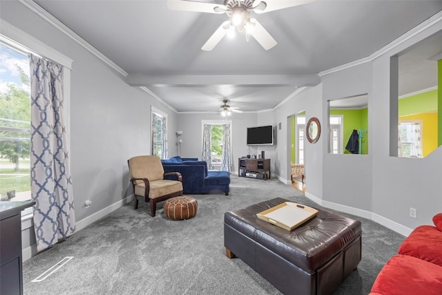 508 W 5th St, Vinton, IA 52349 - living area with a ceiling fan, carpet, baseboards, and ornamental molding