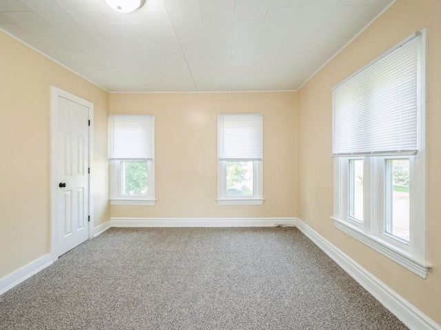 207 Prospect St NW, Blairstown, IA 52209 - spare room with carpet and crown molding