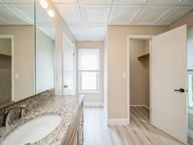 207 Prospect St NW, Blairstown, IA 52209 - bathroom featuring vanity, wood finished floors, a walk in closet, and an ornate ceiling