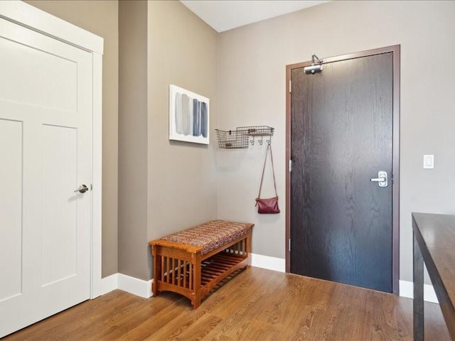 100 4th Ave SW Unit 204, Cedar Rapids, IA 52404 - foyer featuring wood finished floors and baseboards
