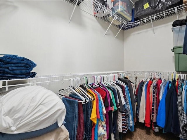 100 4th Ave SW Unit 204, Cedar Rapids, IA 52404 - view of spacious closet