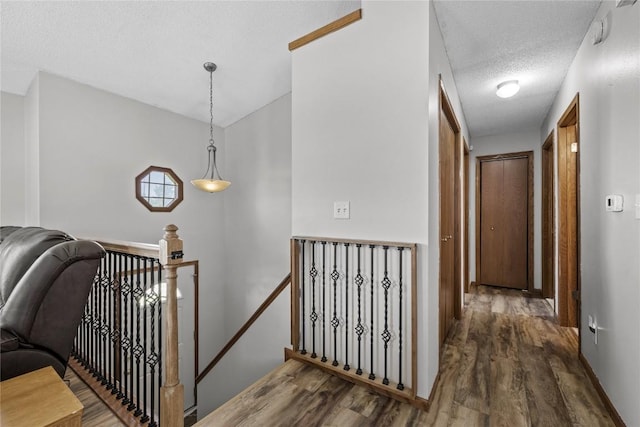 410 Hauser Ave, Urbana, IA 52345 - photo 11