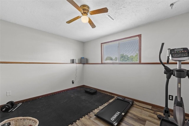 410 Hauser Ave, Urbana, IA 52345 - photo 18