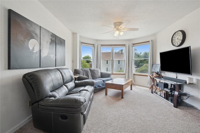 1802 9th Ave, Belle Plaine, IA 52208 - living area featuring carpet flooring, ceiling fan, and a textured ceiling